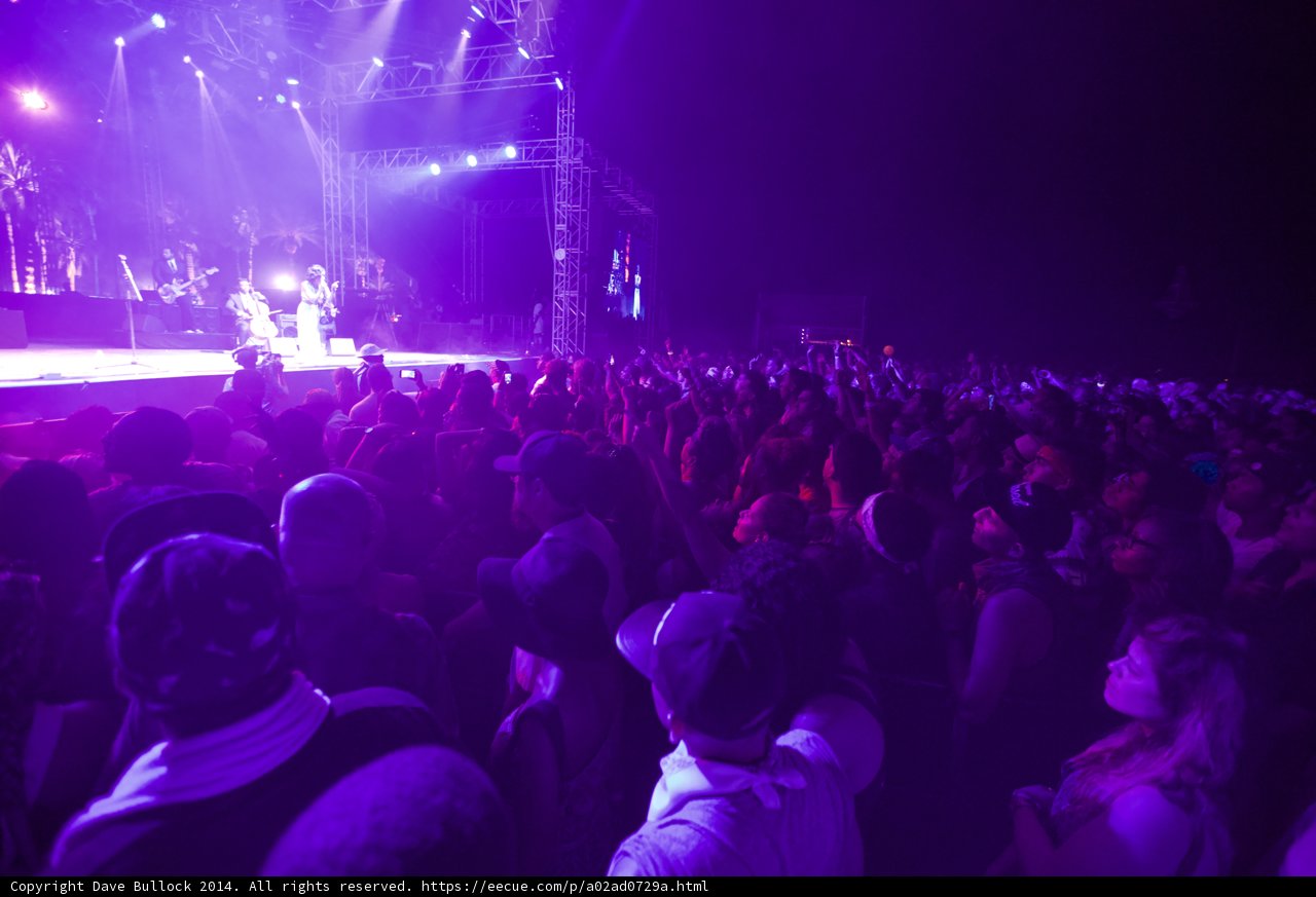 Purple Haze: A Vibrant Crowd at Coachella 2014