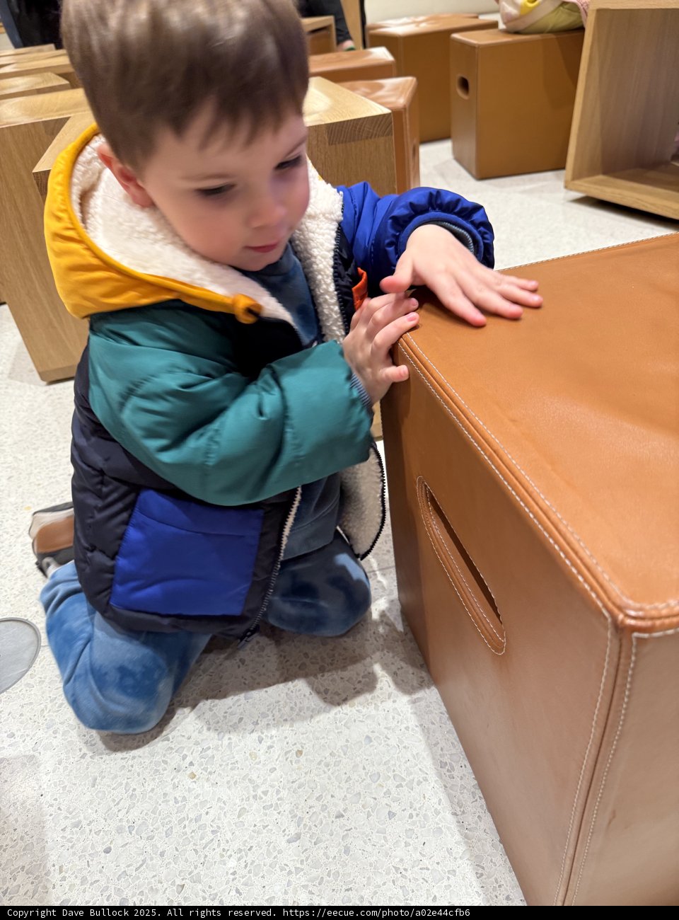 Curious Exploration in Walnut Creek