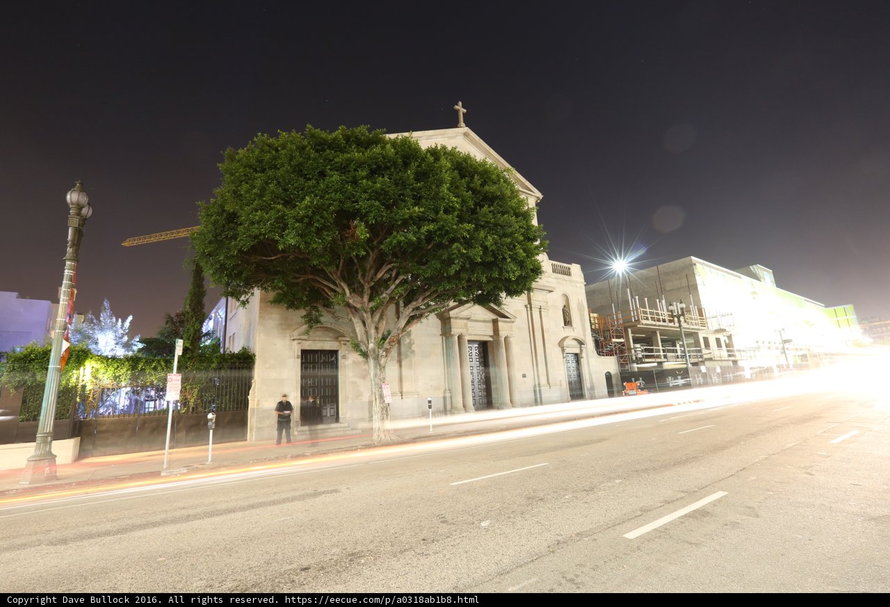 City Church Tree