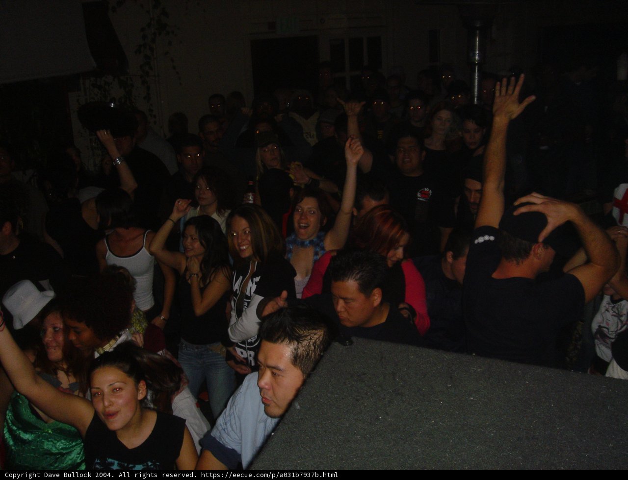 Urban Crowd at Night Club Party