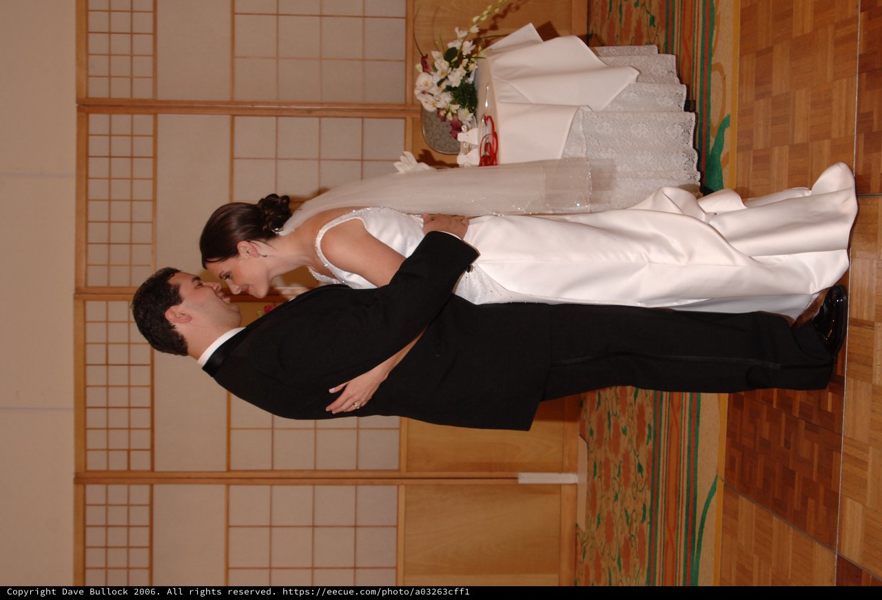 Newlyweds Share First Dance at Wedding Reception