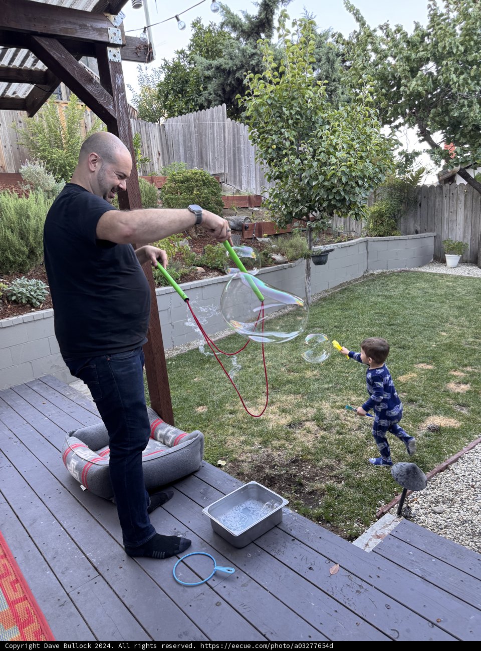 Bubble Magic in the Backyard