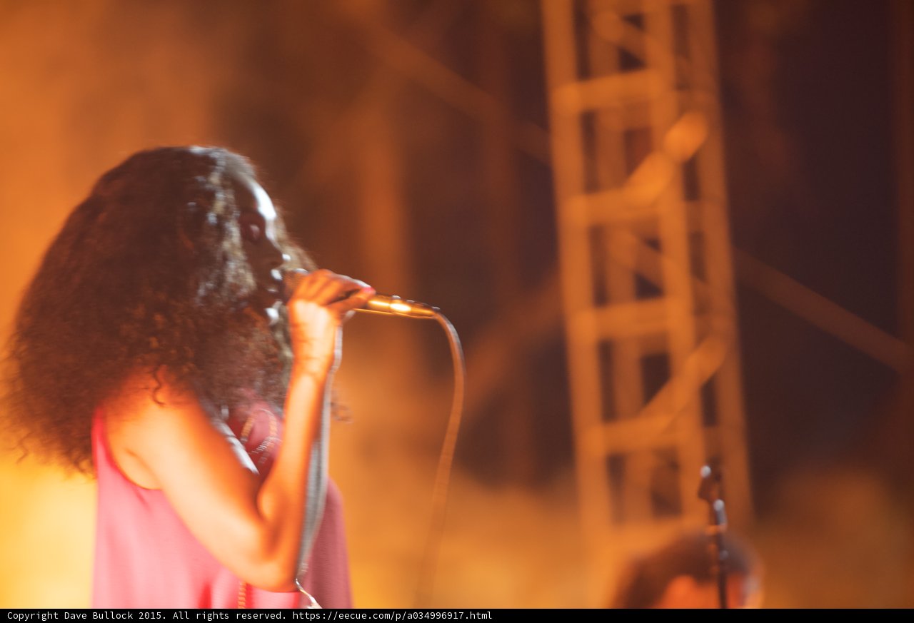 Solange Profile Hair Covering Face Scaffolding Guitarist Orange