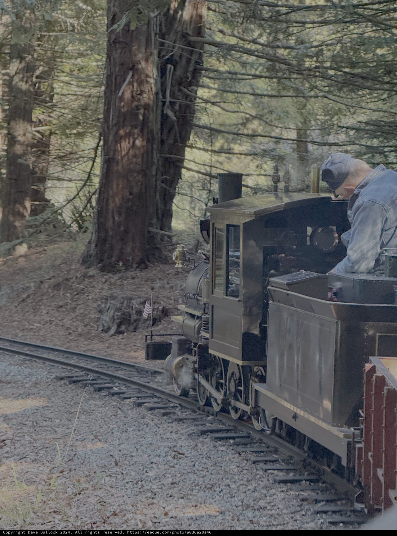 Steam Train Engineer in Forest Railway Setting
