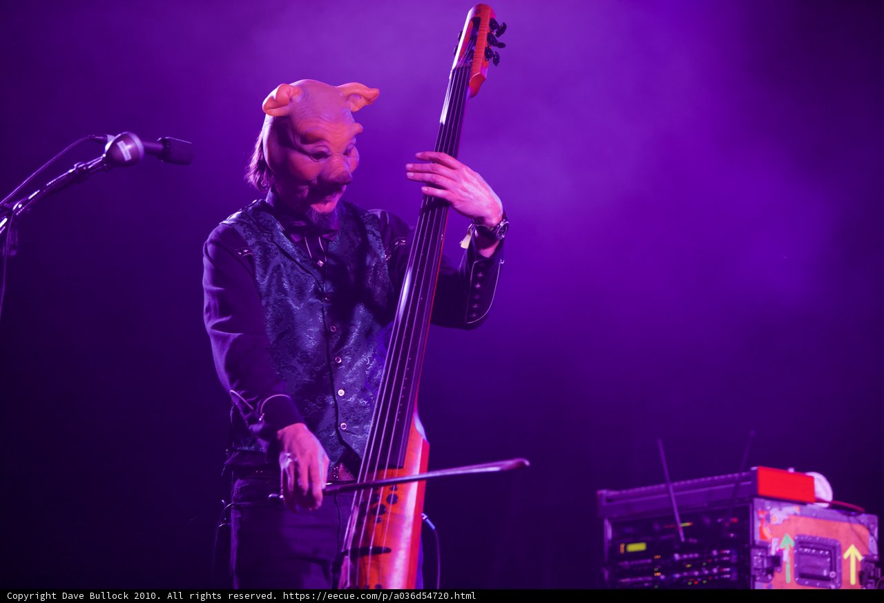 Porcine Performer