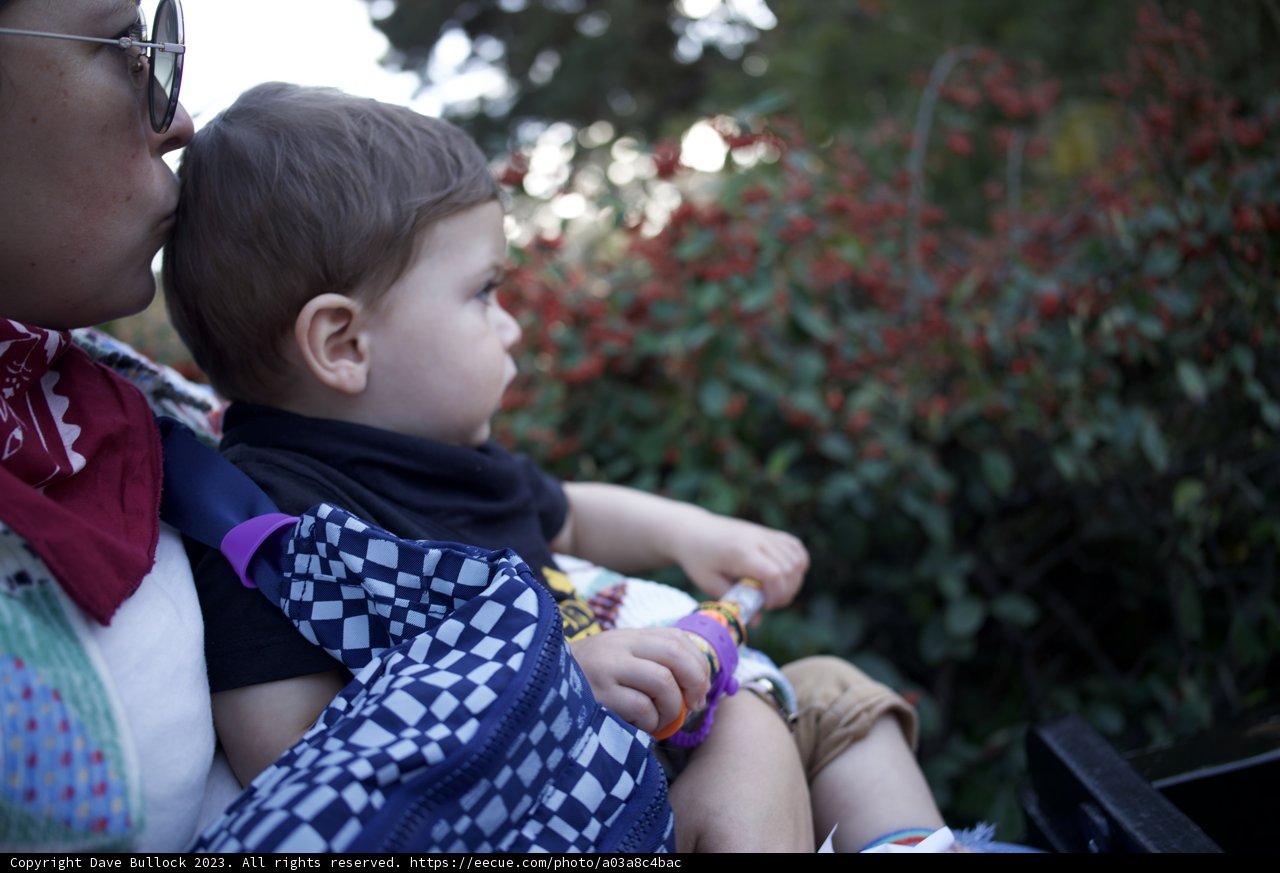 Cherished Moments: Day at the SF Zoo
