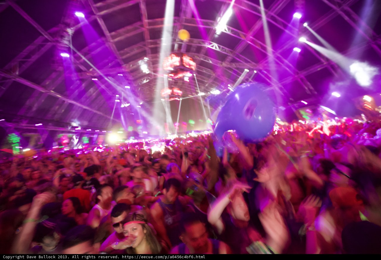 Crowd Jammin' at Coachella