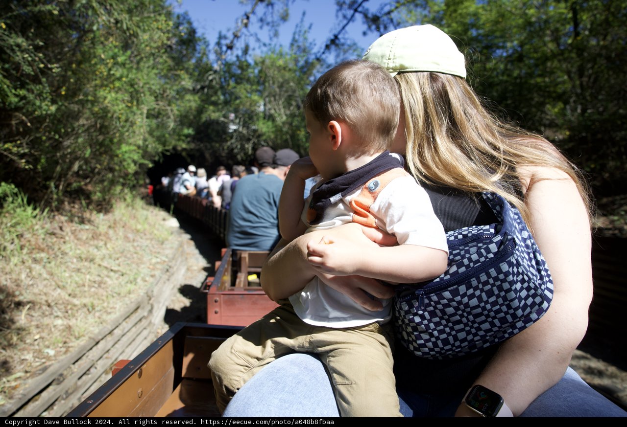 A Journey Through the Wild: Family Ride on Tilden's Steam Train