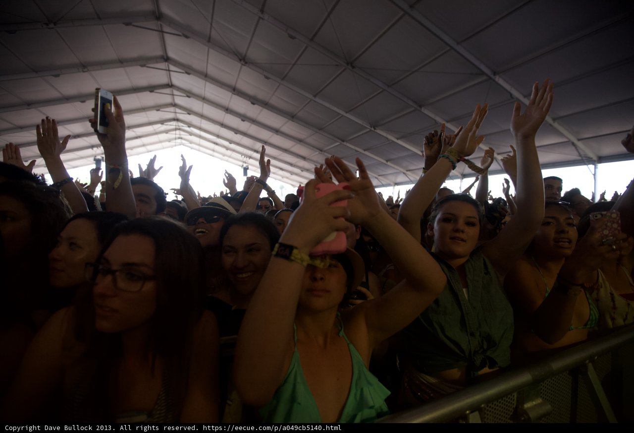 Party in the Crowd
