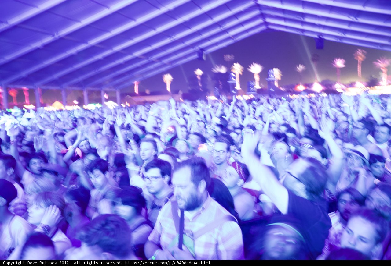 Electric Crowd at Coachella