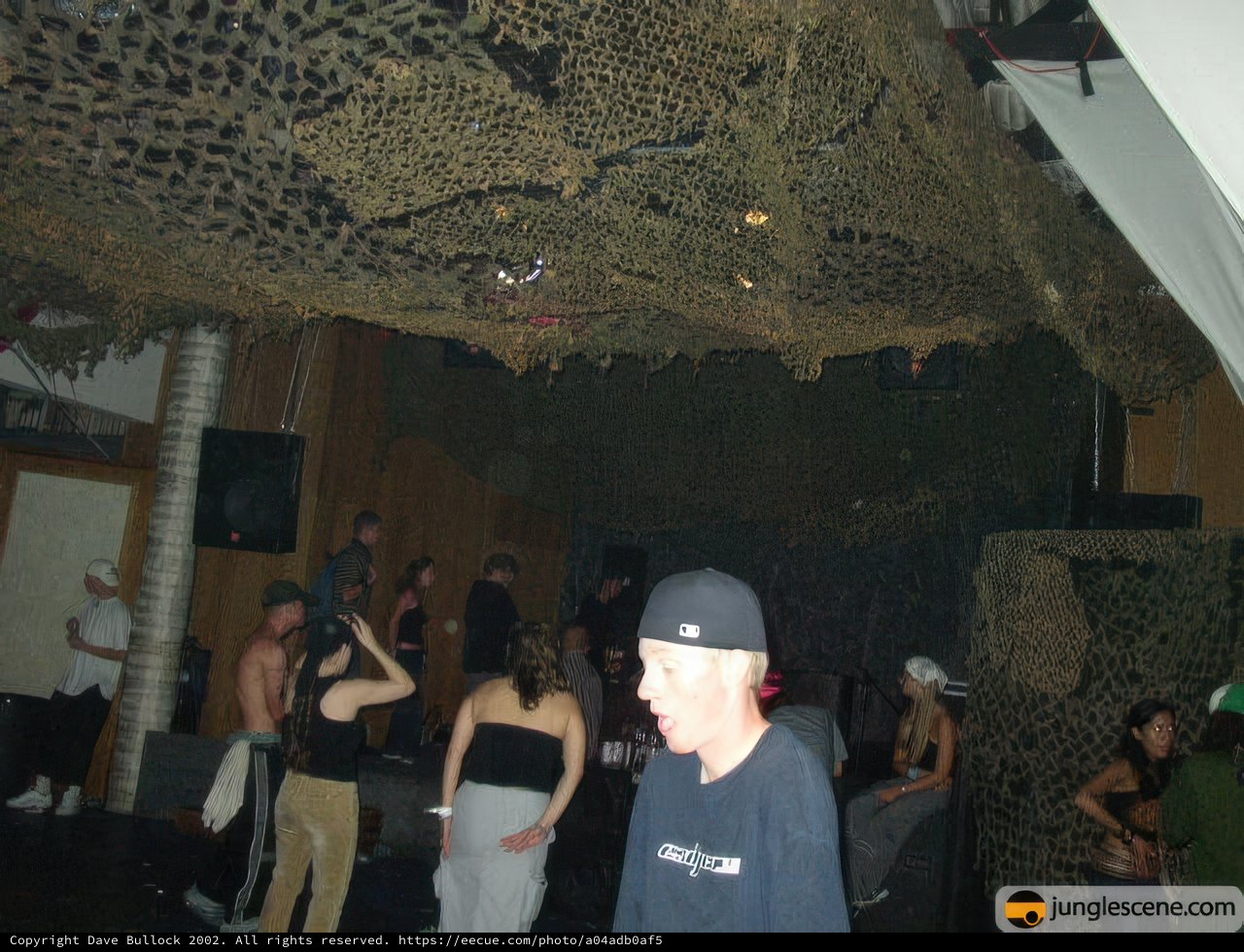 Nightclub Fun