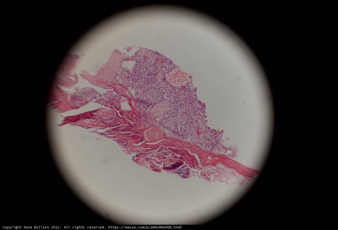 Vibrant Tissue Colors