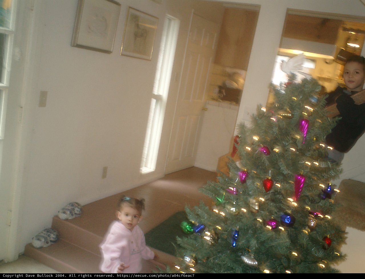 Skyela B admiring Christmas decorations