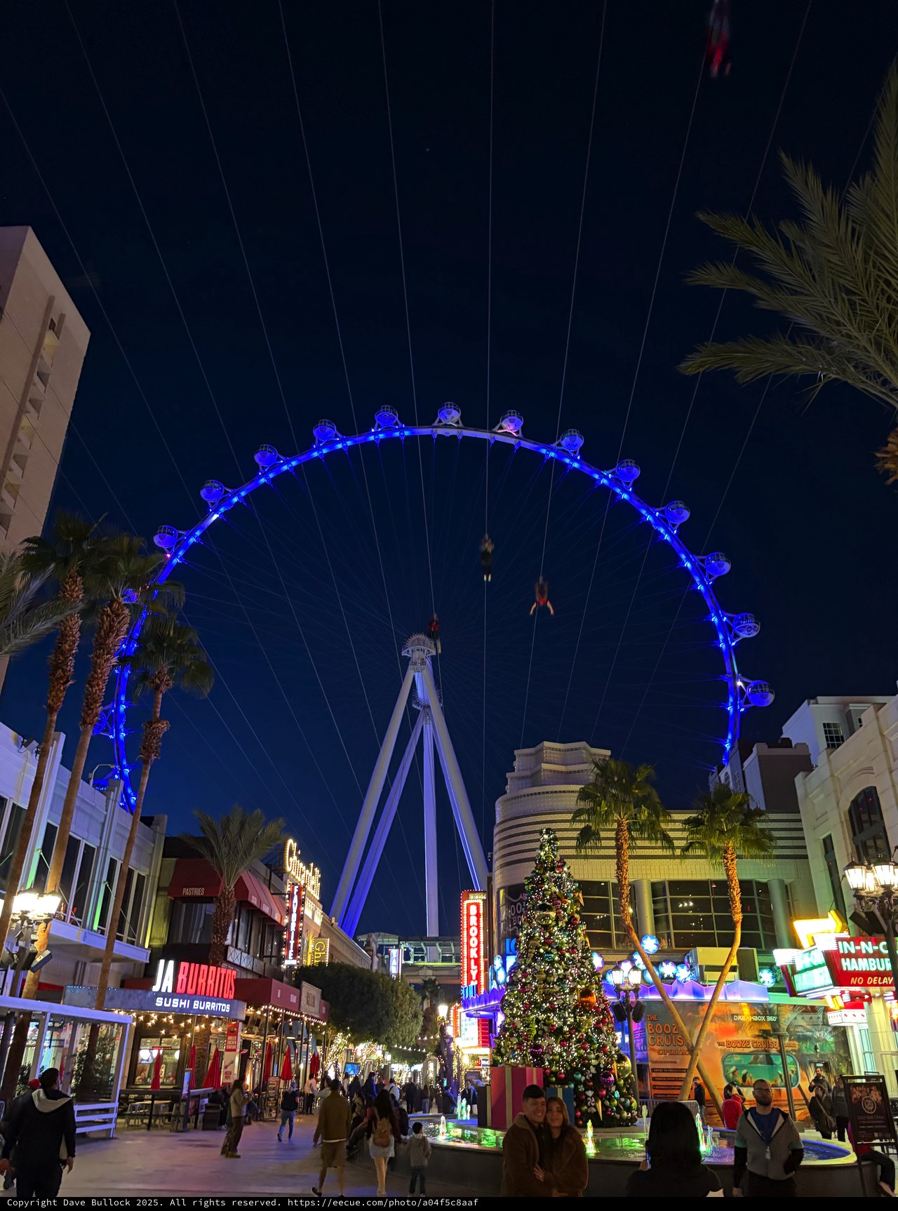The High Roller Observation Wheel Illuminated at Night