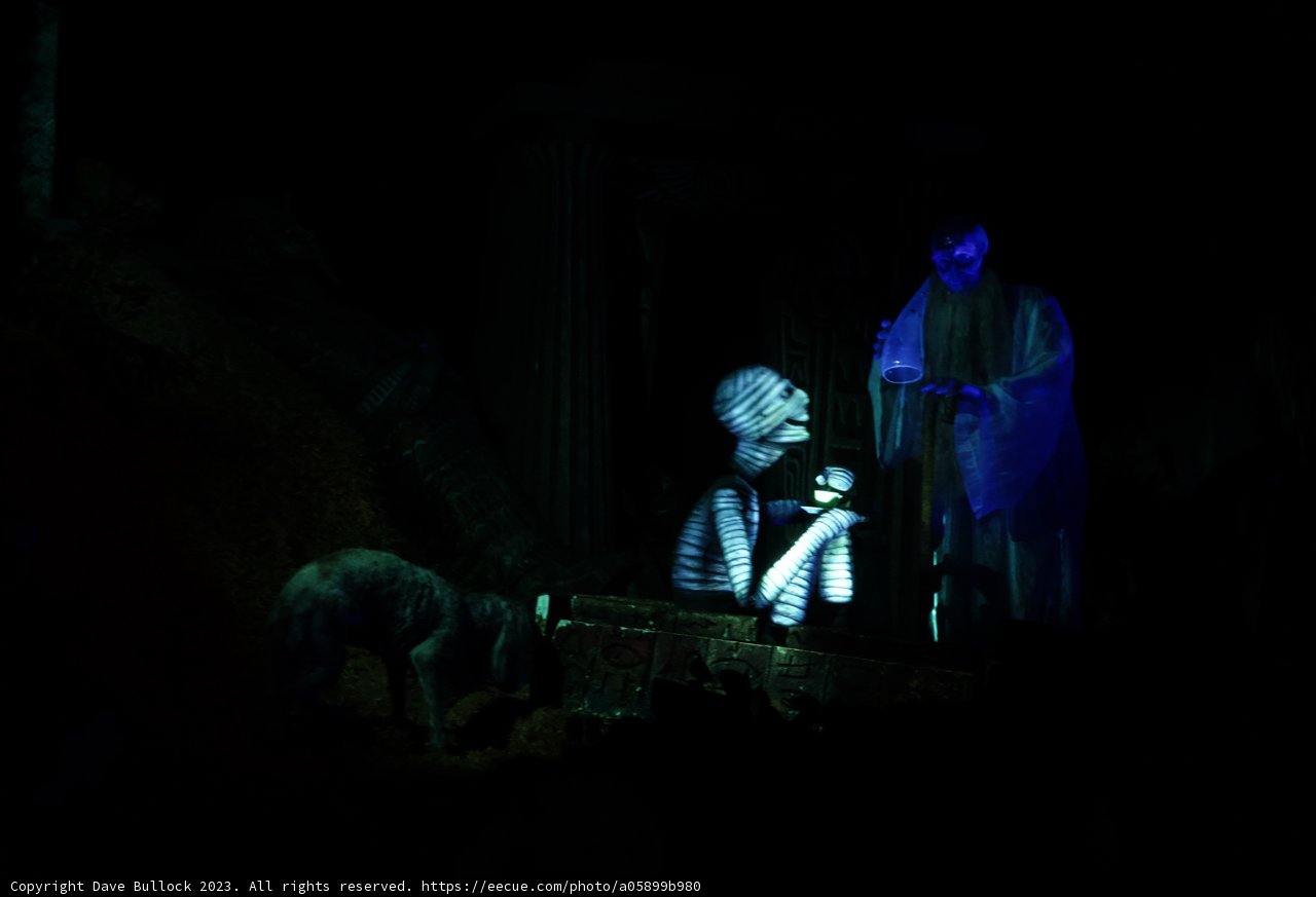 A Magical Encounter at Disneyland