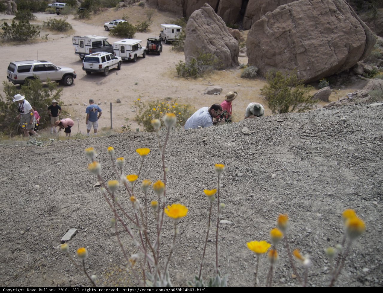 Exploring the Wild Terrain