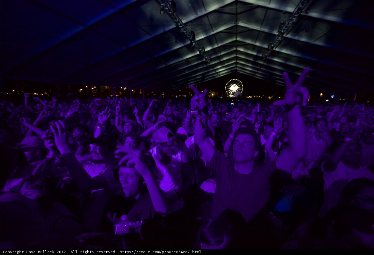 Coachella 2012: Hands Up in the Crowd