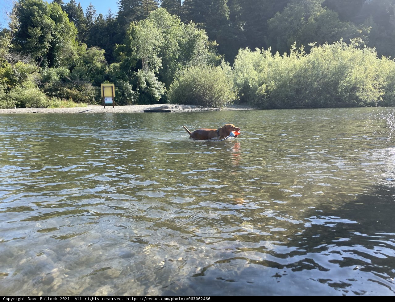 River Fun with Furry Friends