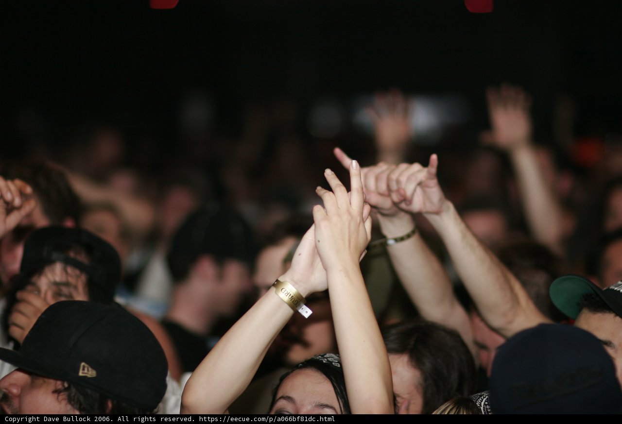 Funky Crowd Vibes