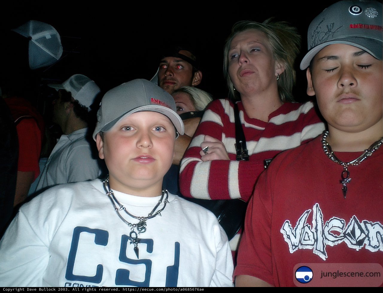 Group of Friends at Coachella