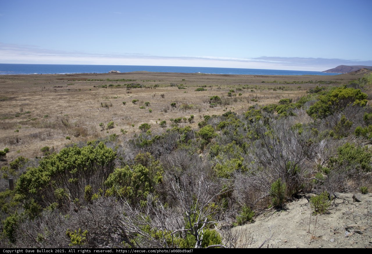 Coastal Prairie Serenity