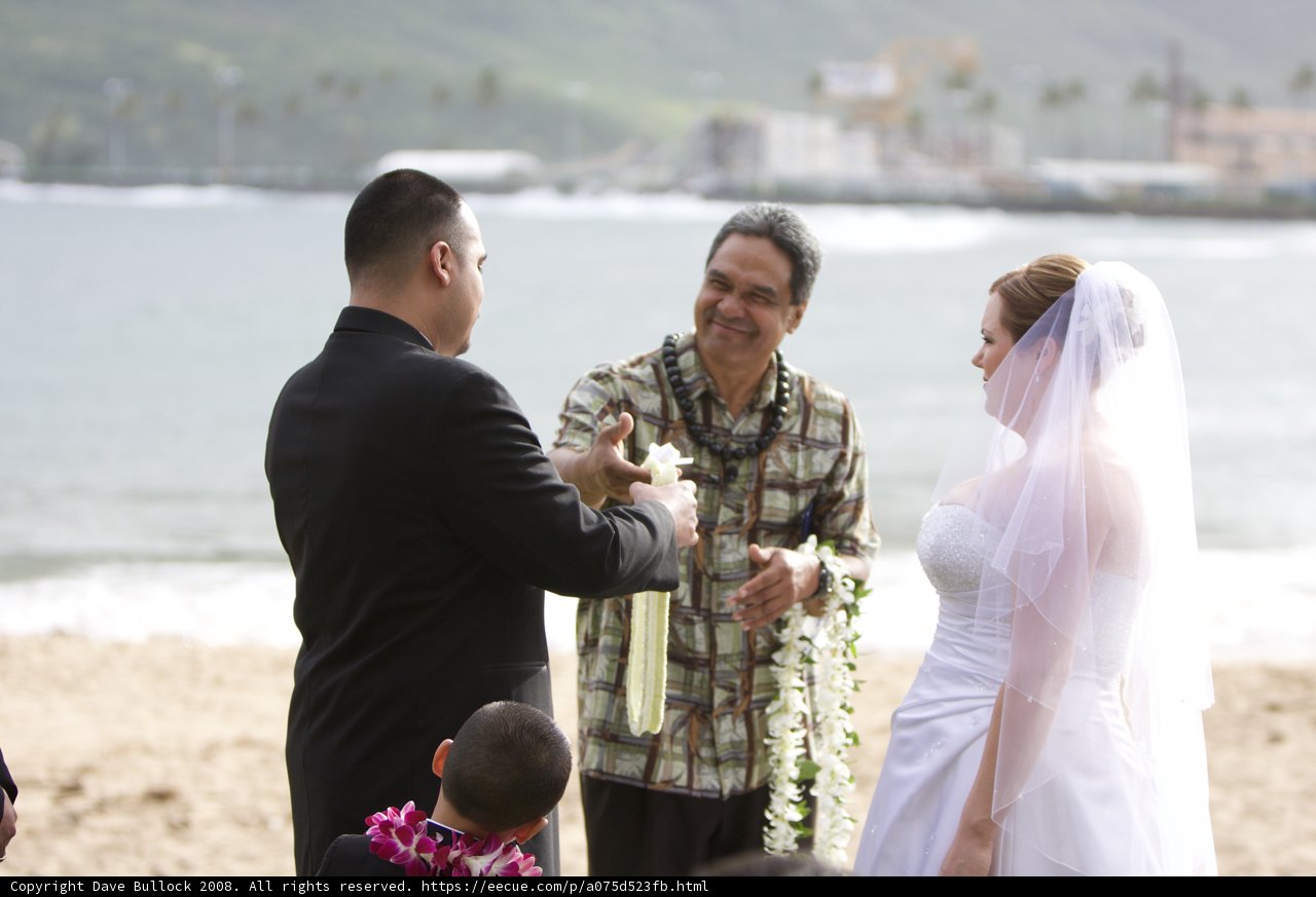 Hawaiian Beach Wedding