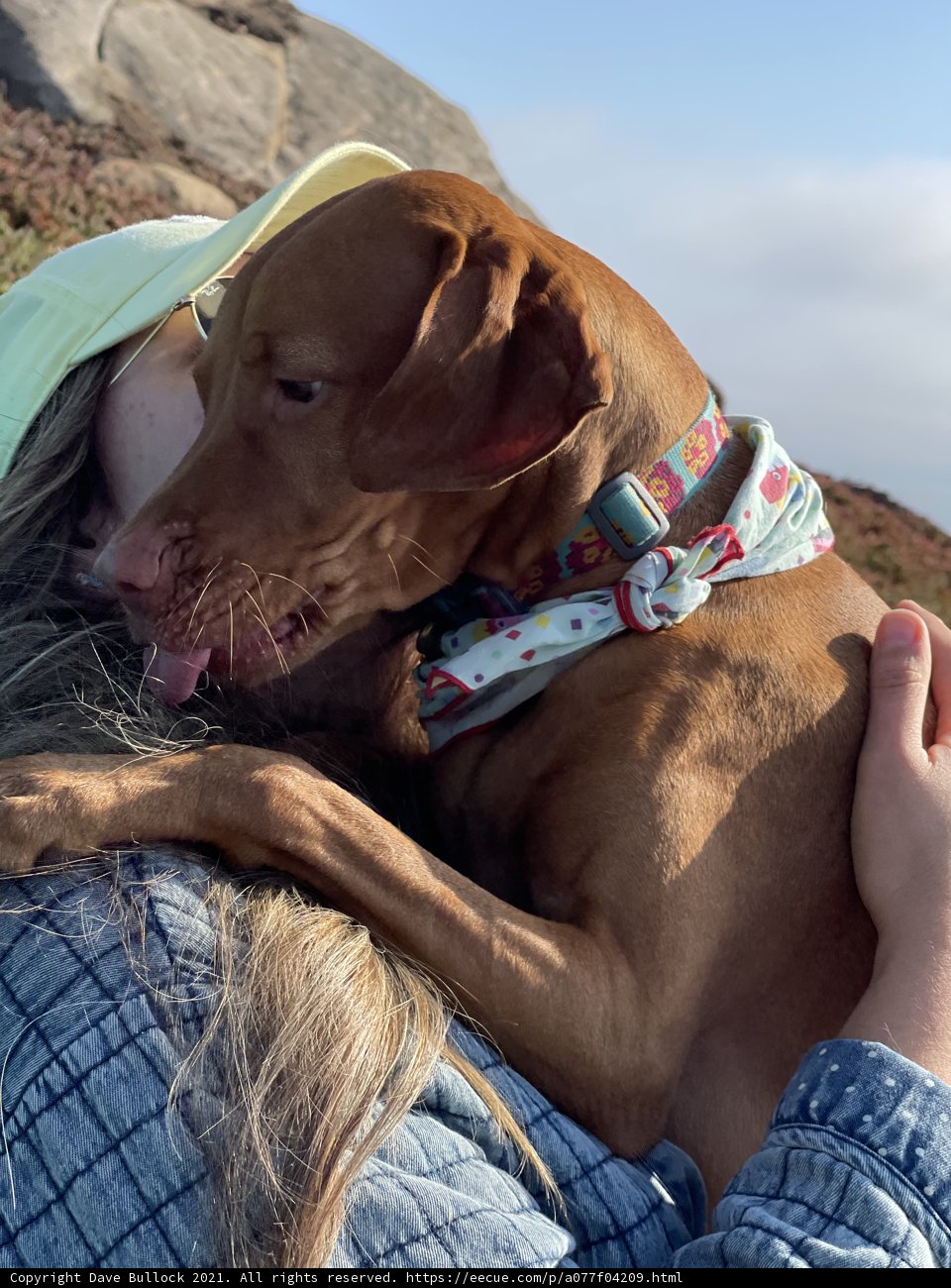 Rocky Hug