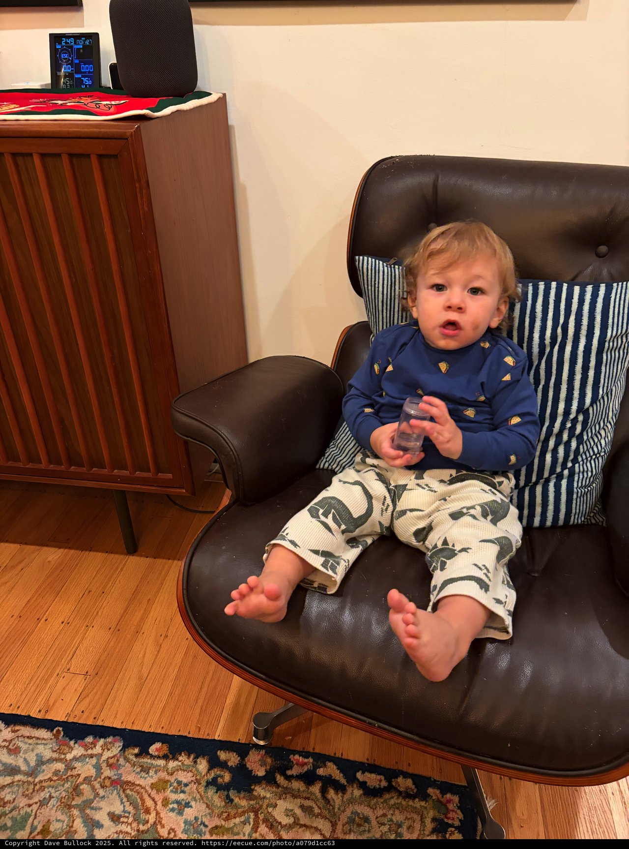 Toddler Relaxing in Mid-Century Modern Lounge Chair