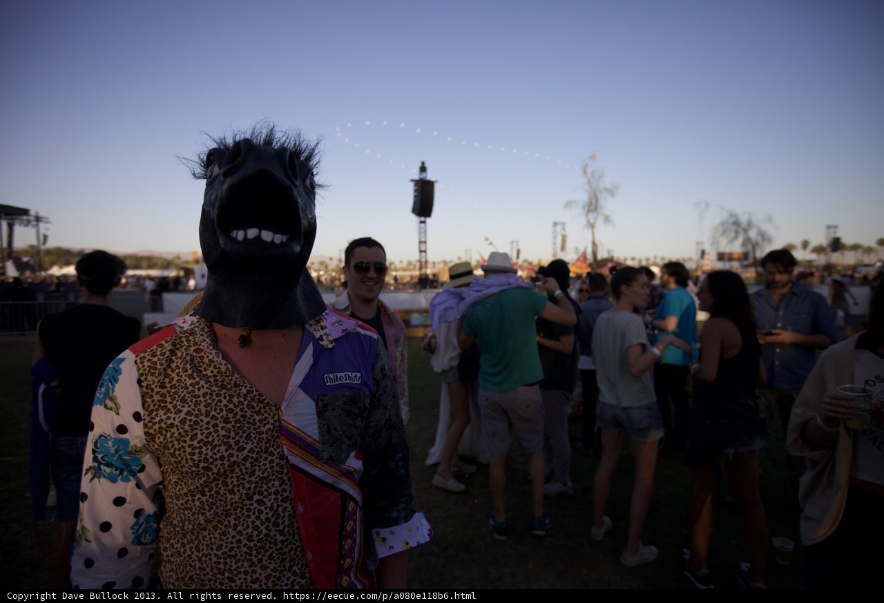 Masked Man in Music Festival Crowd