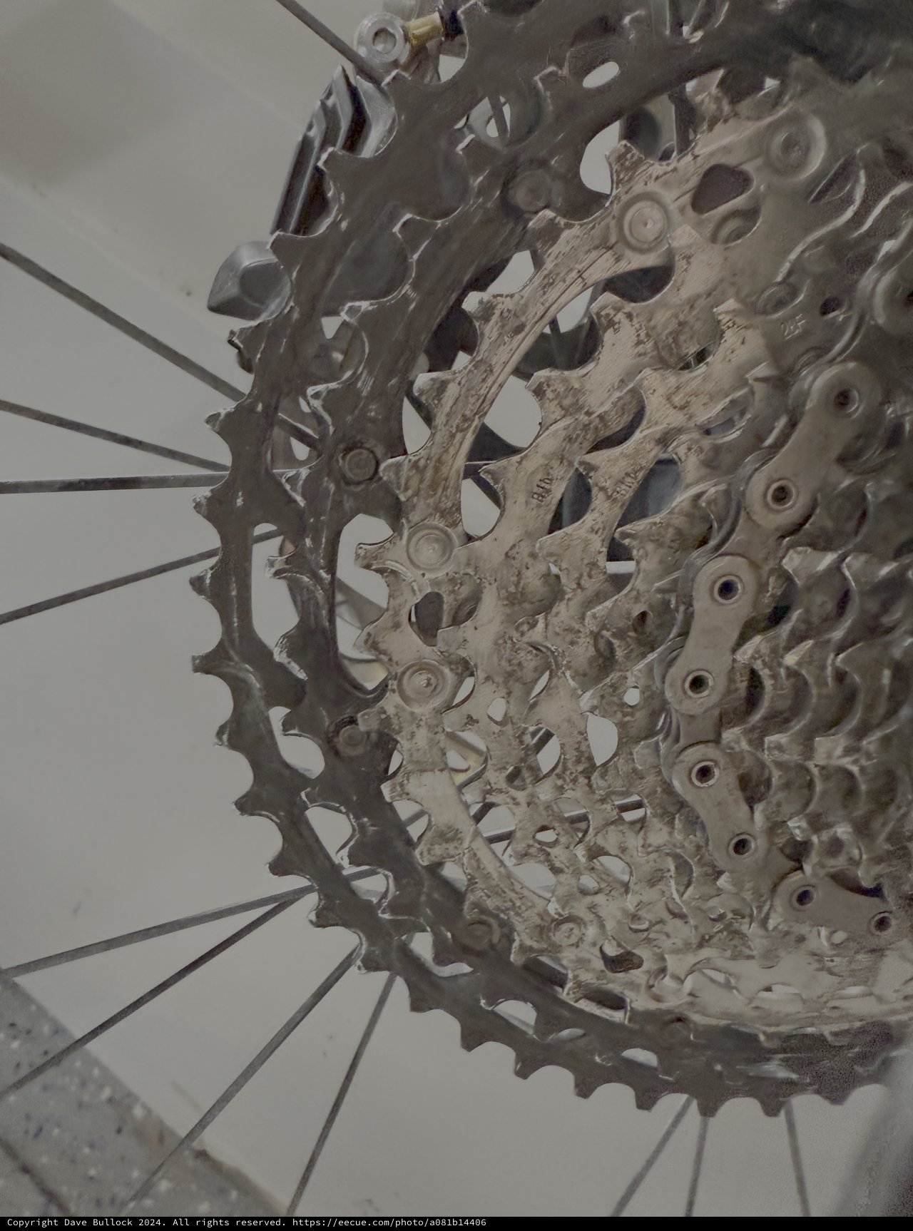 Weathered Bicycle Cassette and Chain Close-Up