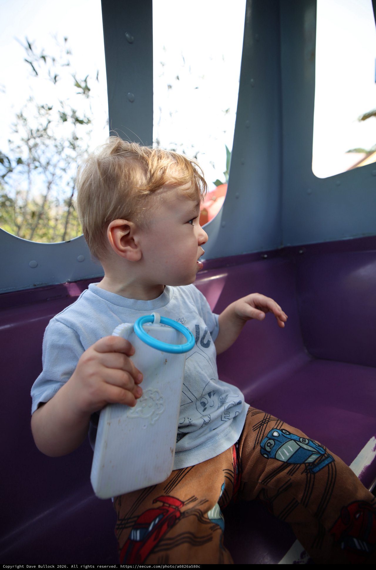 Young Child Playing at Playground in Fantasyland
