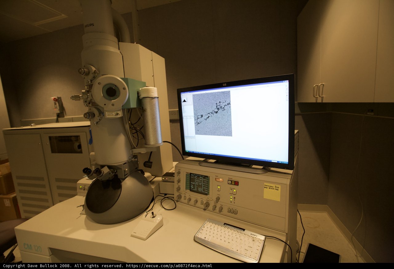 Microscope observation on computer screen