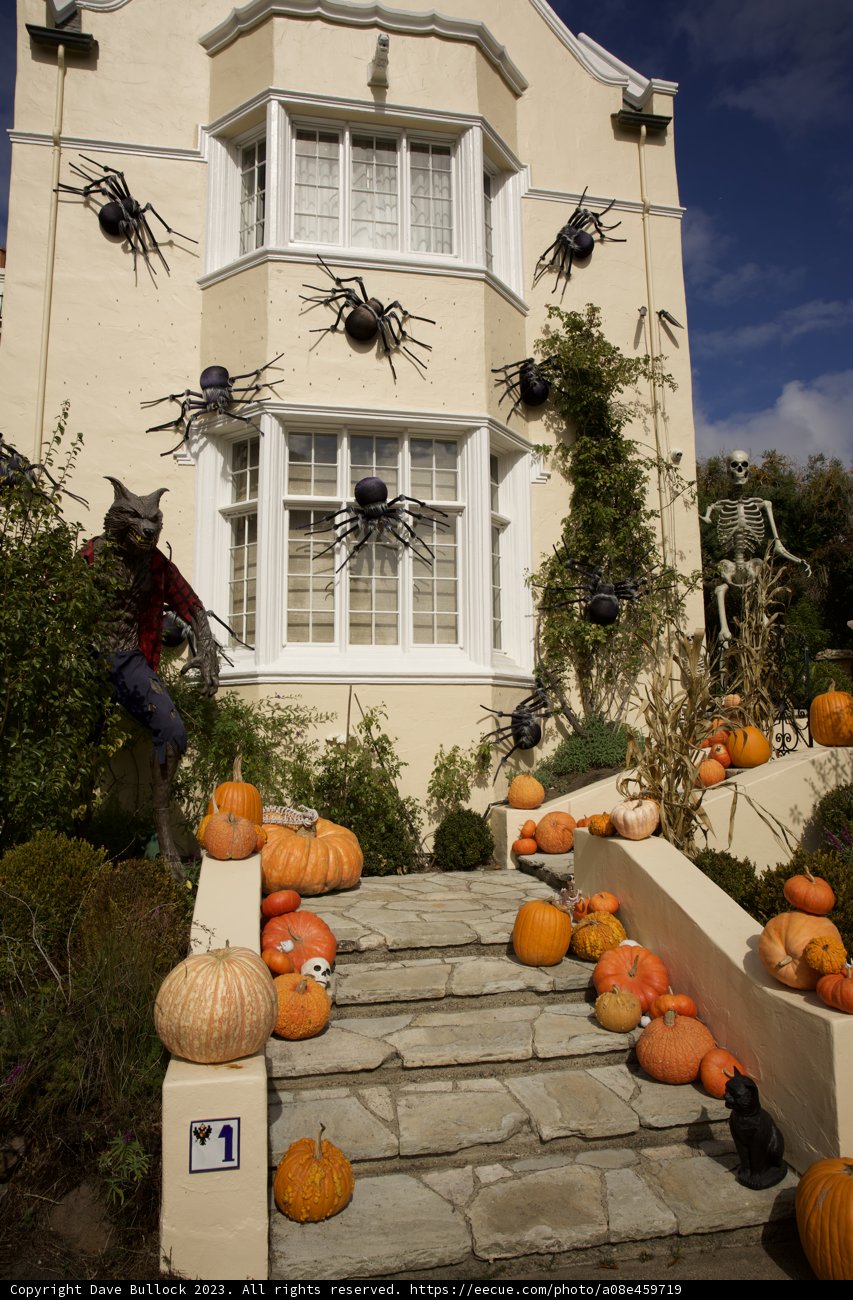 Spooktacular Pumpkin Fiesta at San Francisco