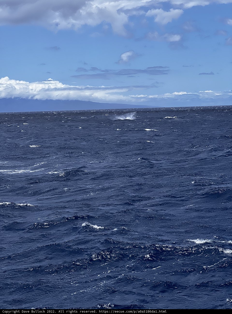 Boating in the endless blue sea