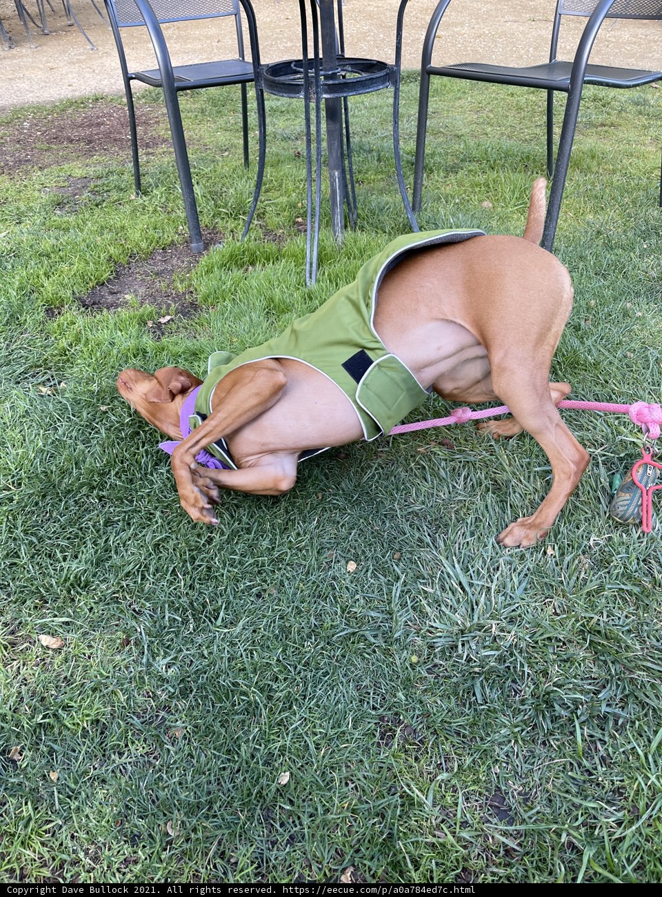 Relaxing in the Greenery