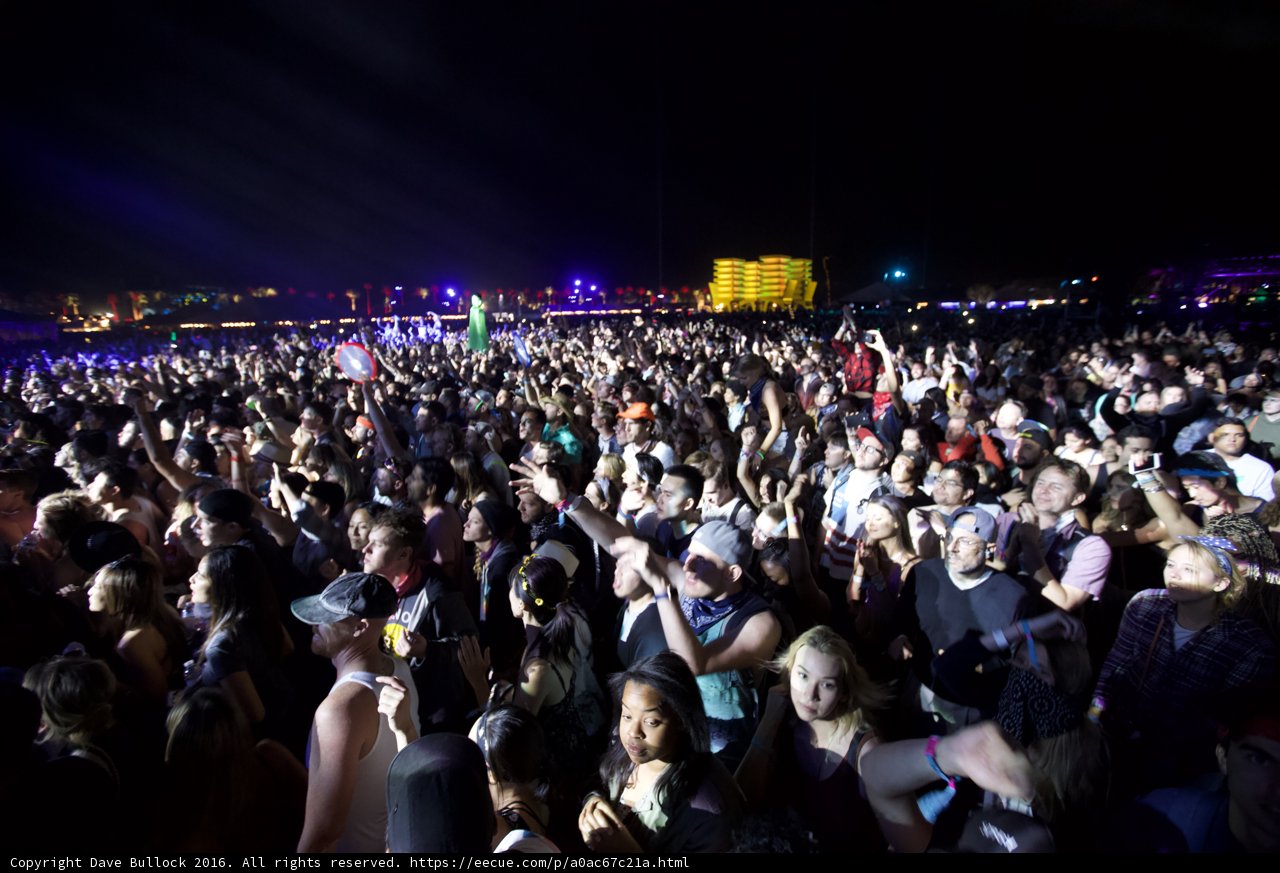 Night Sky Concert Crowd