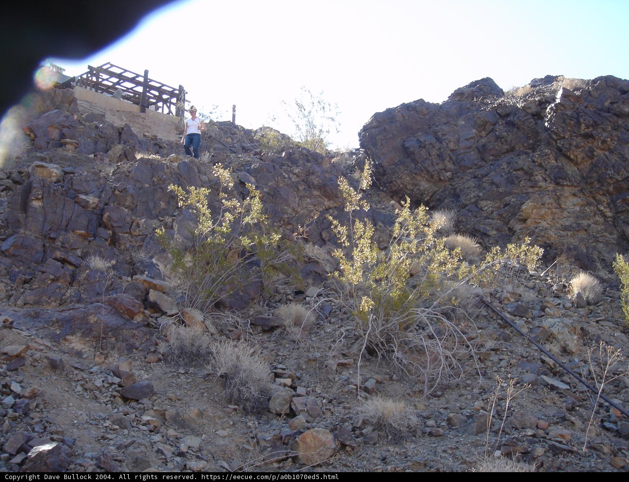 Conquering the Wild Terrain