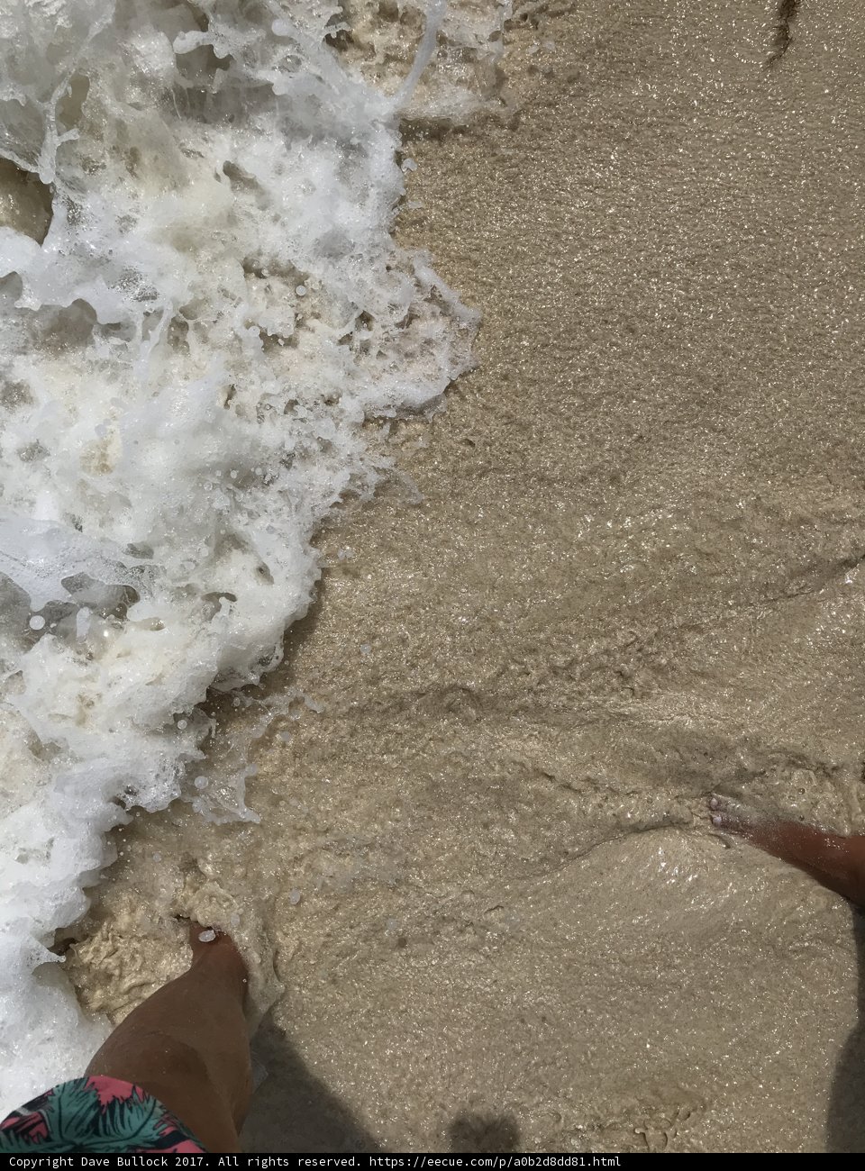 Soaking Up the Sea
