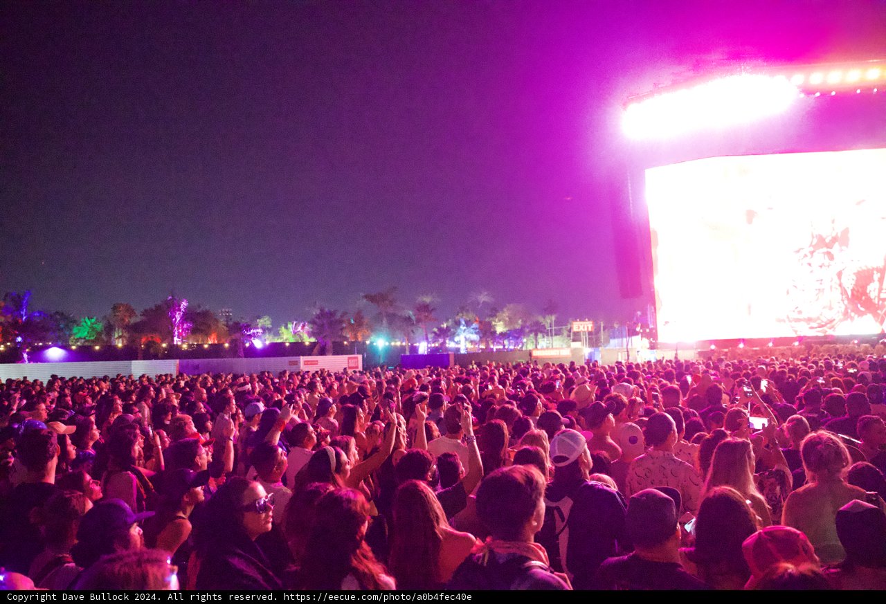 Electric Nights: Coachella Vibes 2024