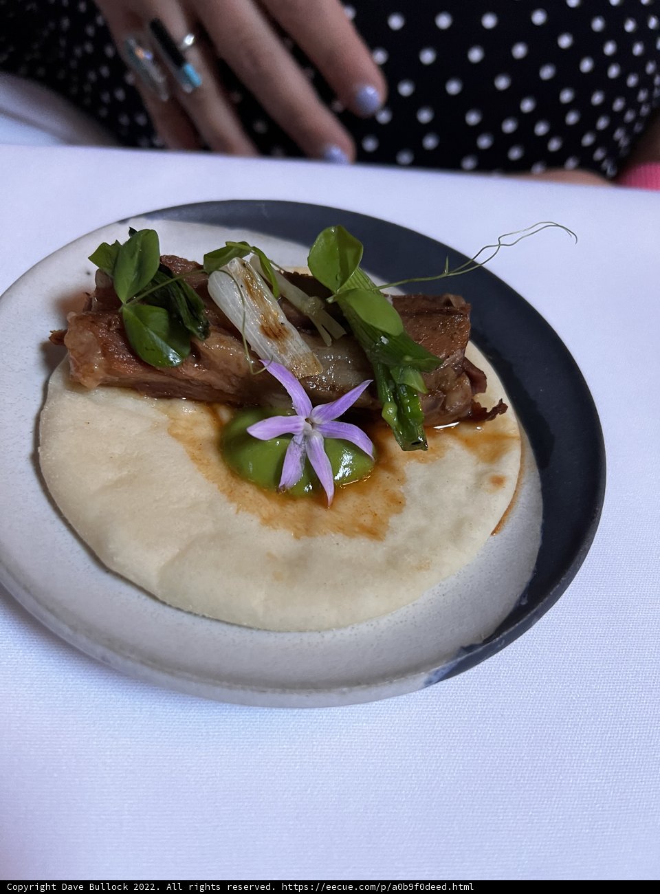 Art of Food Presentation