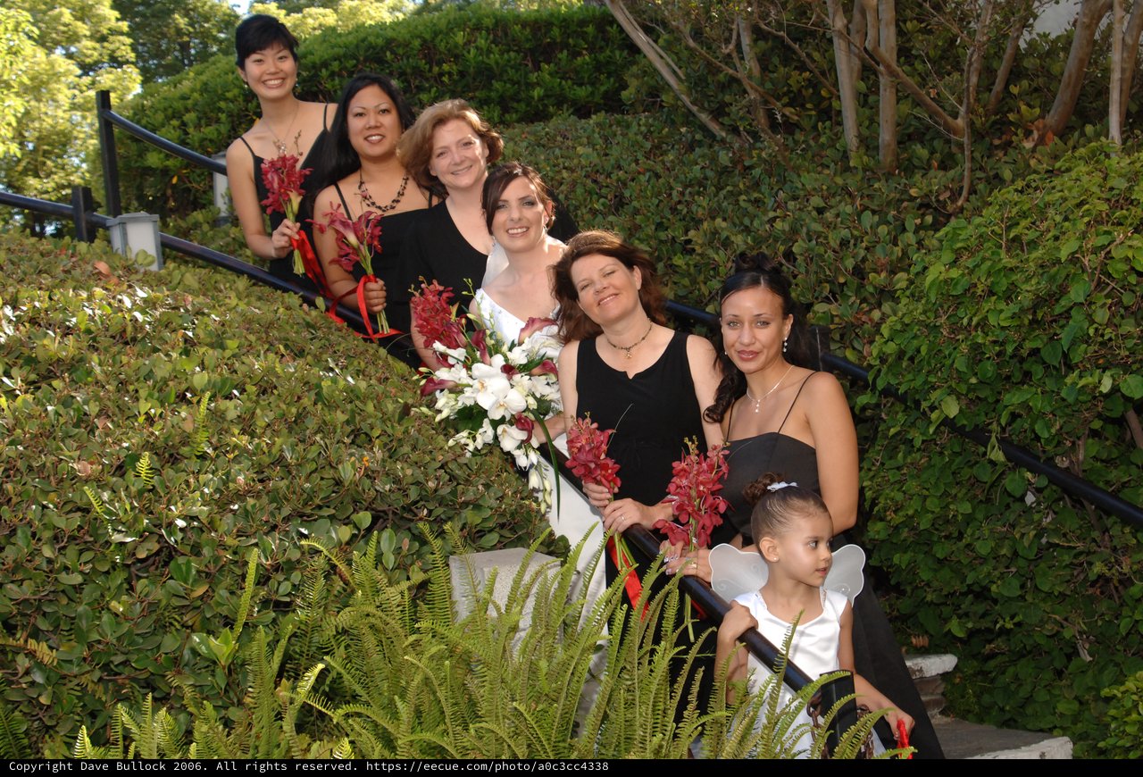 Bridal Party Poses on Garden Staircase Wedding Day