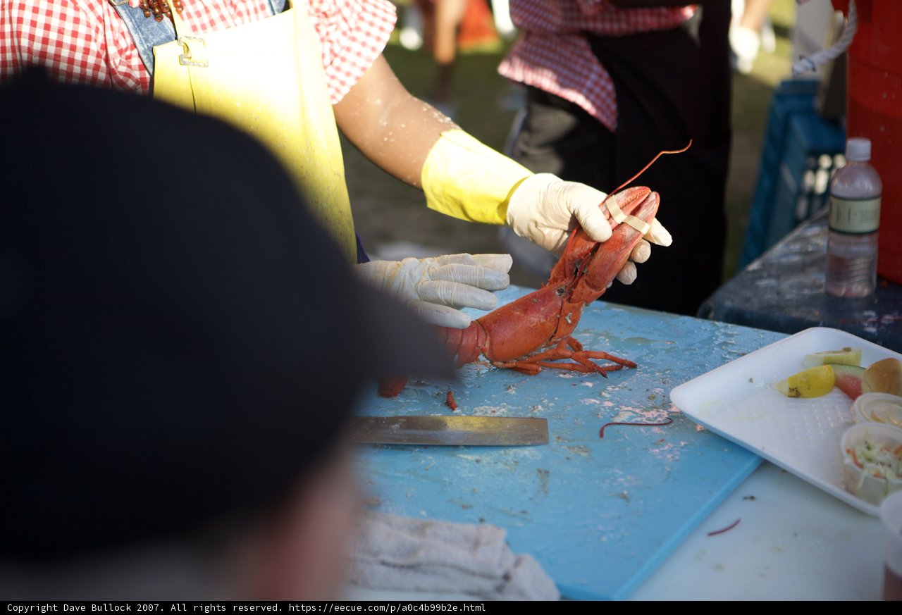 Lobster Cutting Expert