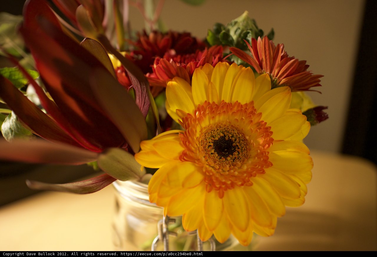 Floral Delight