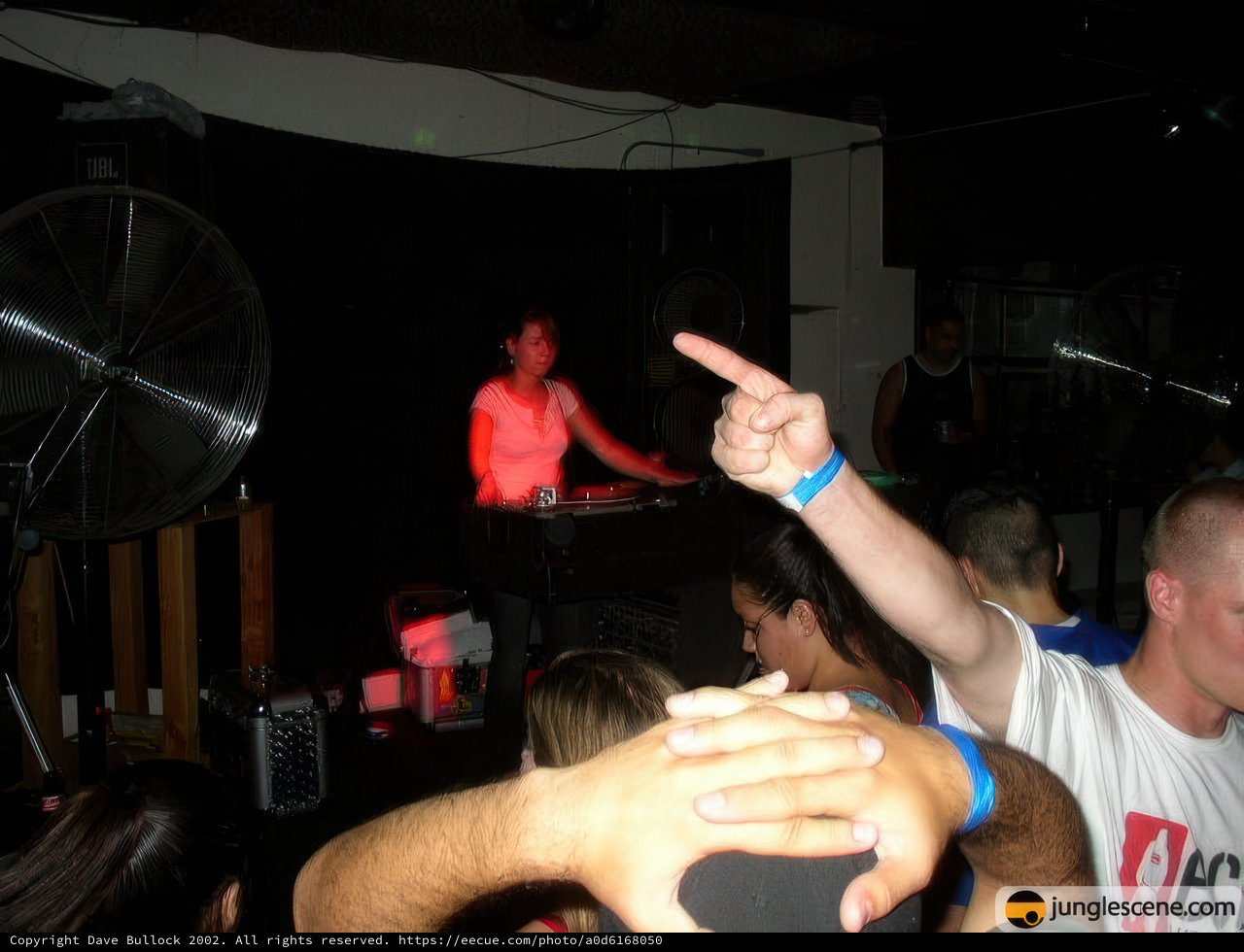 Partygoers Impact
