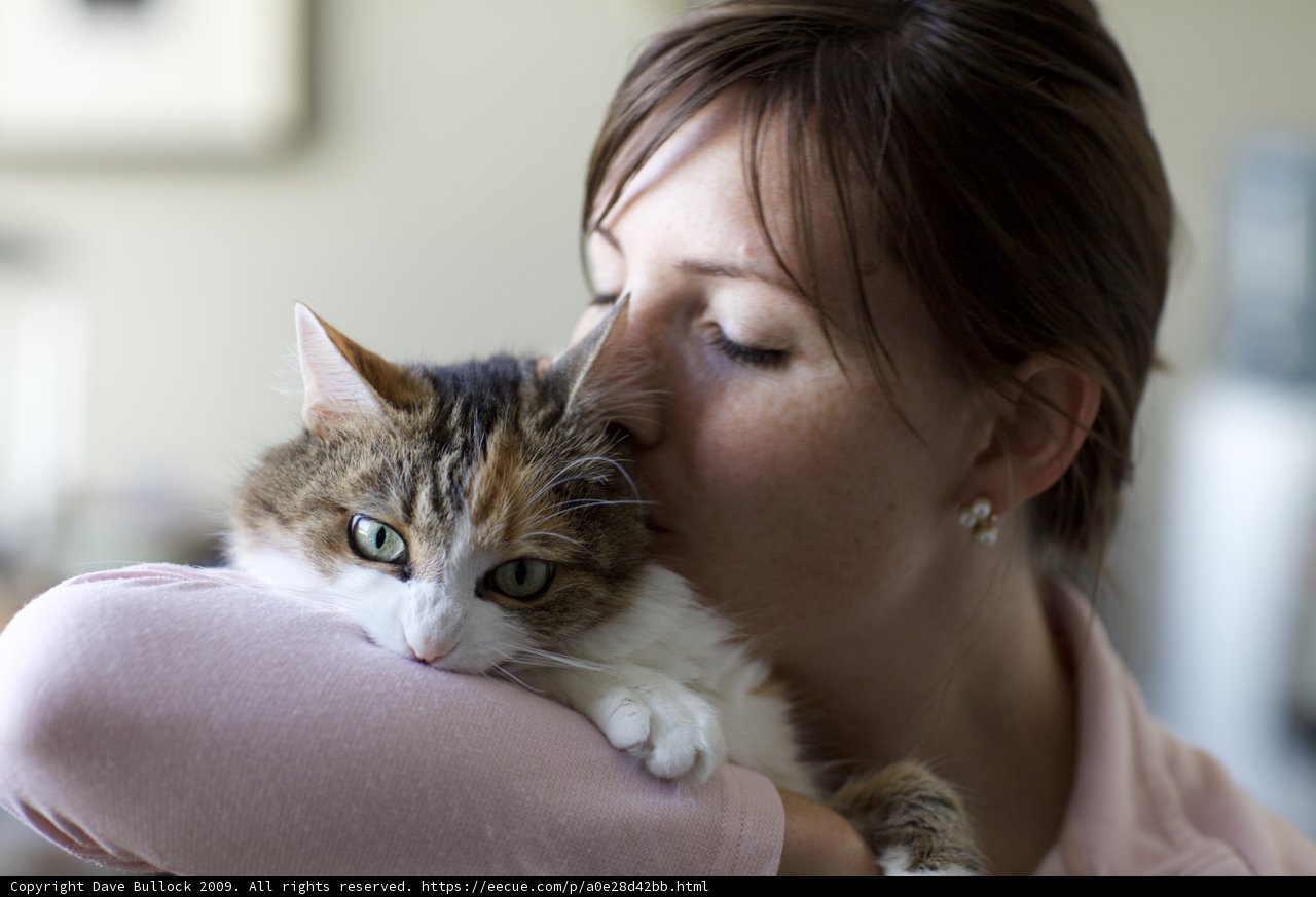 Woman and Kitten Pose for the Camera