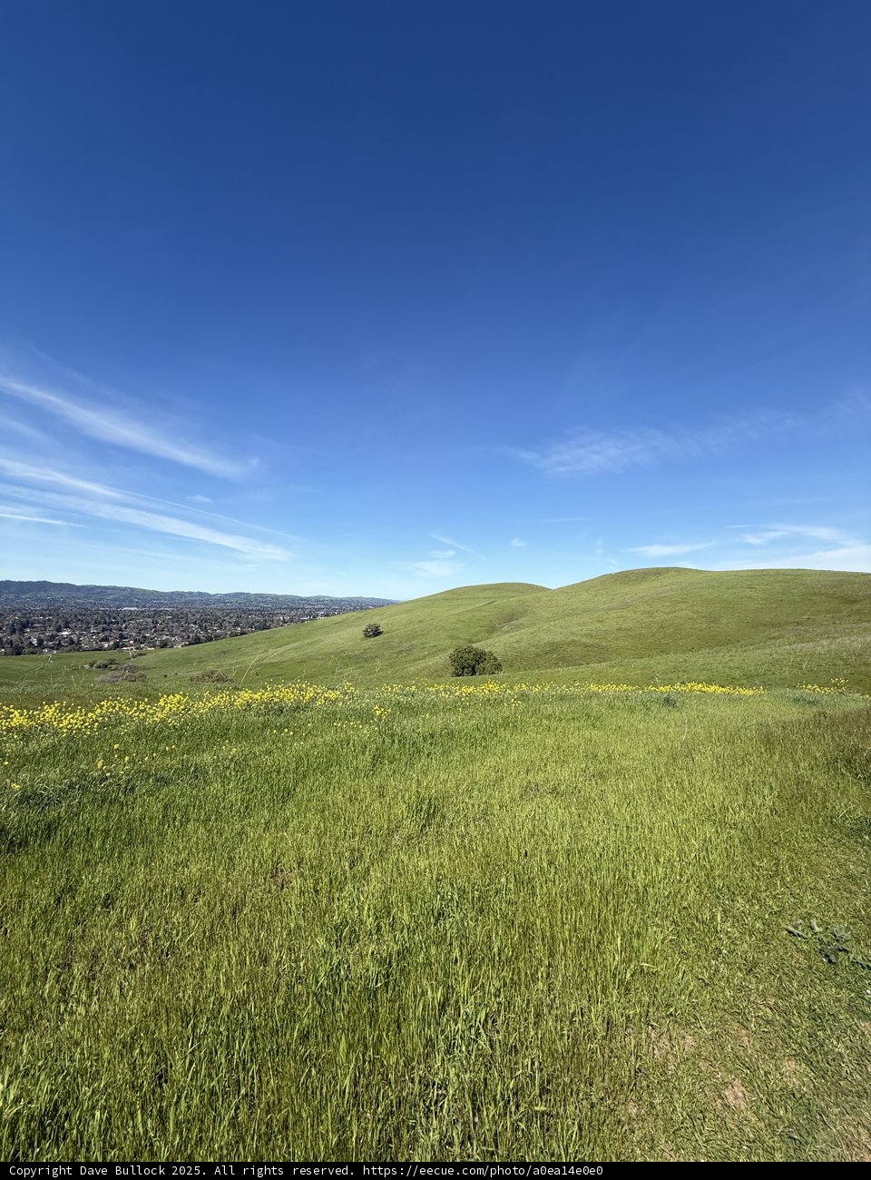 Rolling Green Hills Under a Vast Azure Sky