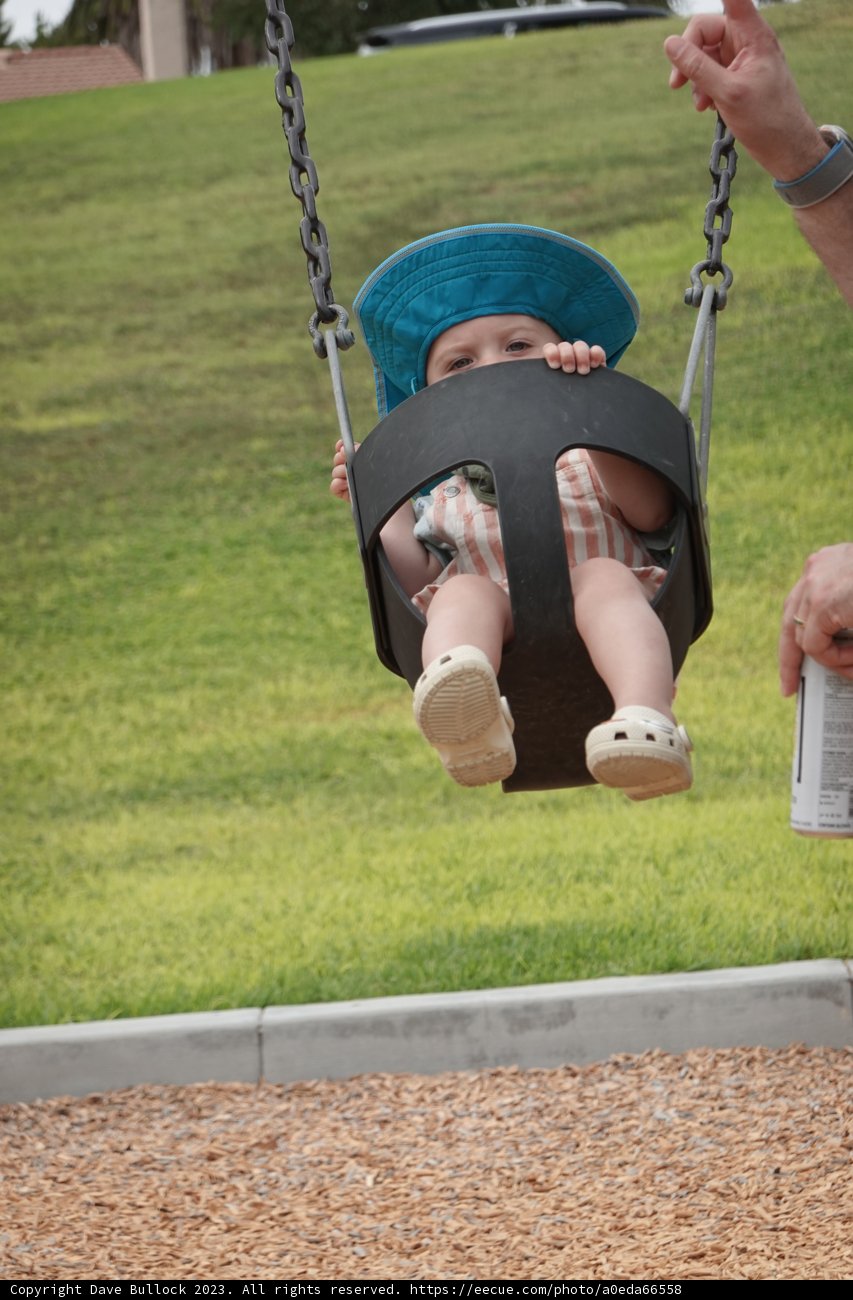 A Charming Day in the Park