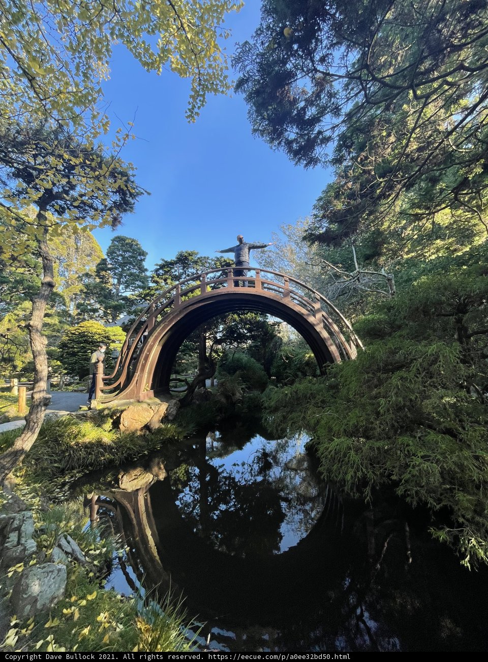Serenity at the Japanese Tea Garden