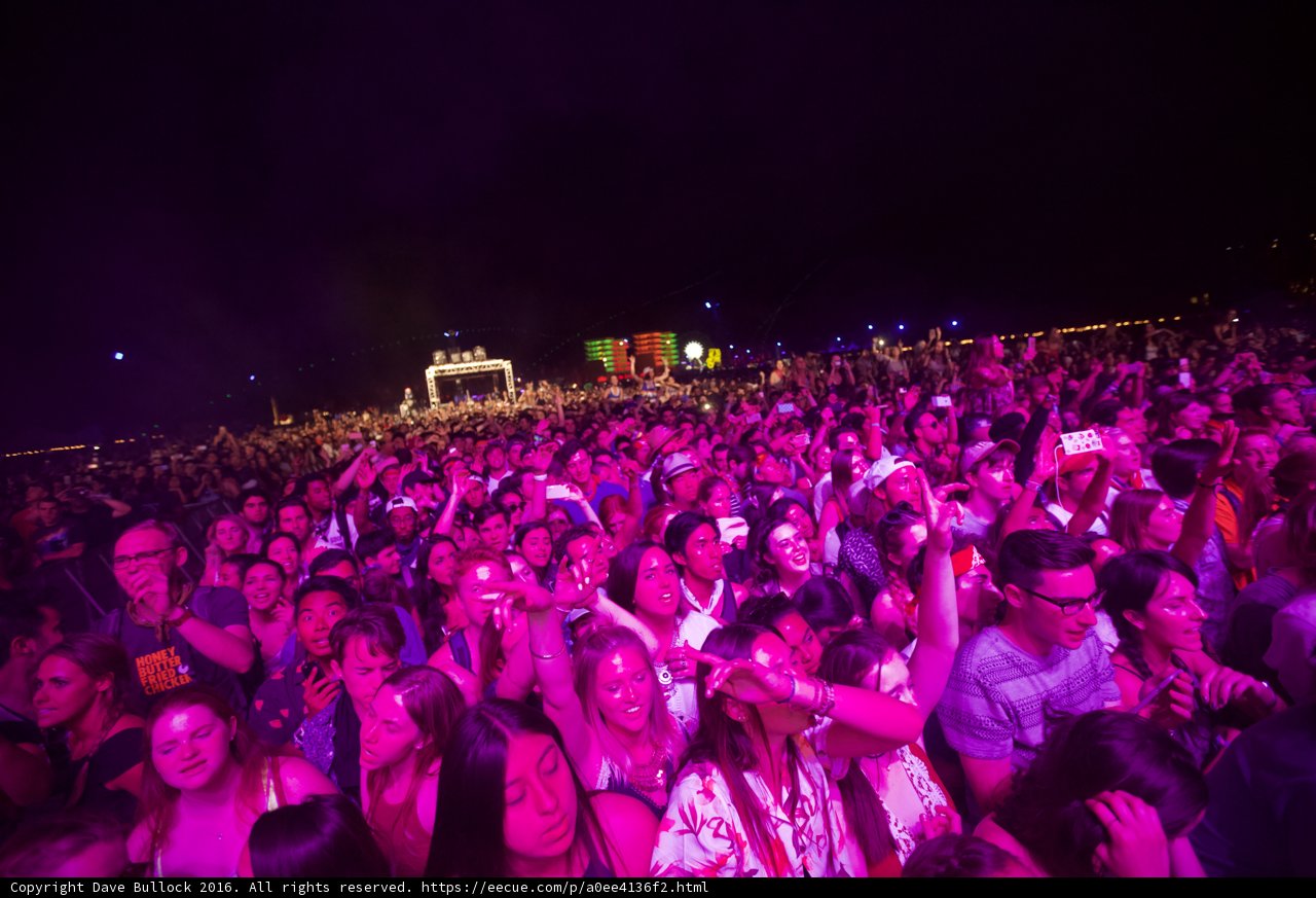 Hands Up in the Night Sky