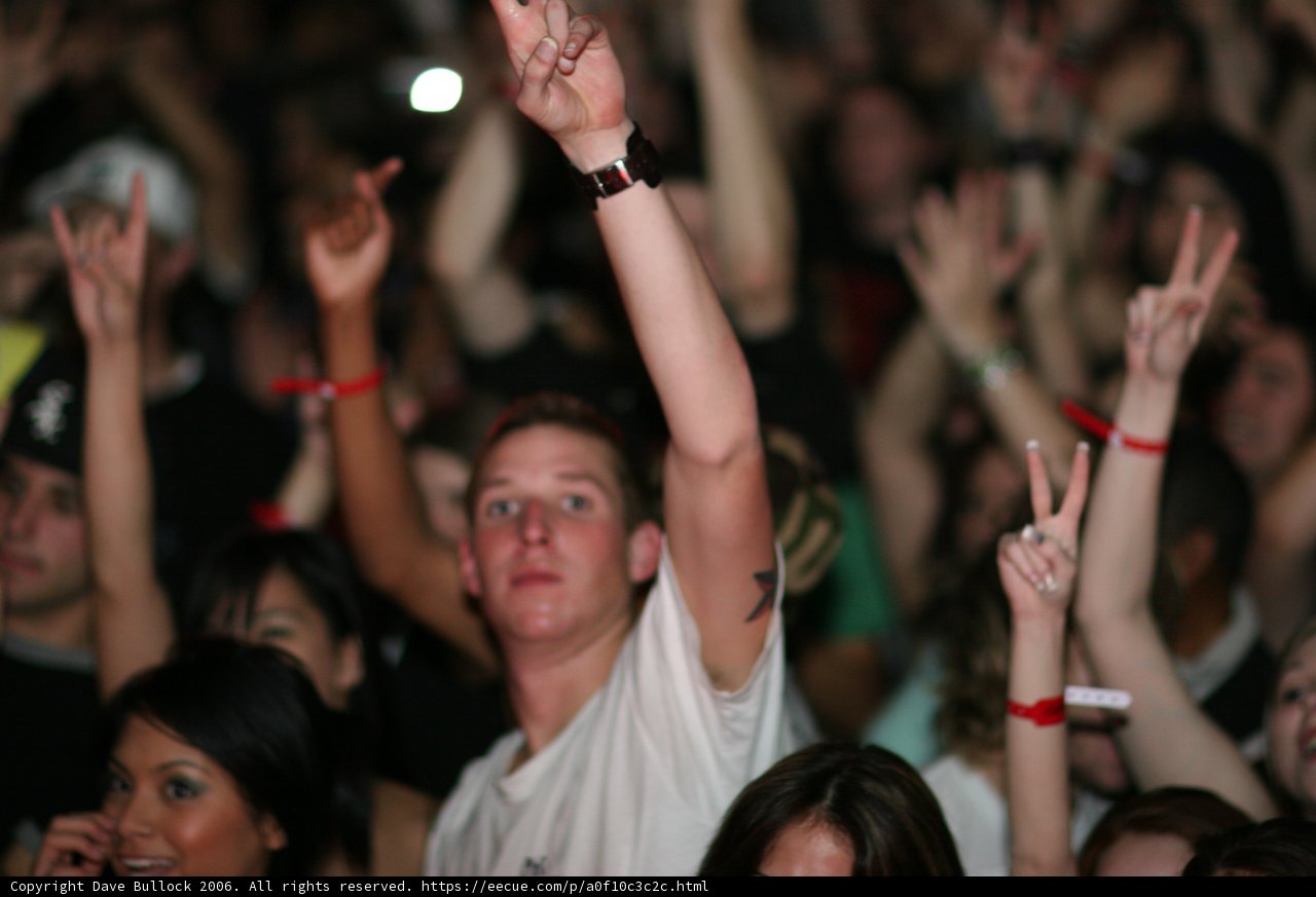 Surrendering to the Crowd
